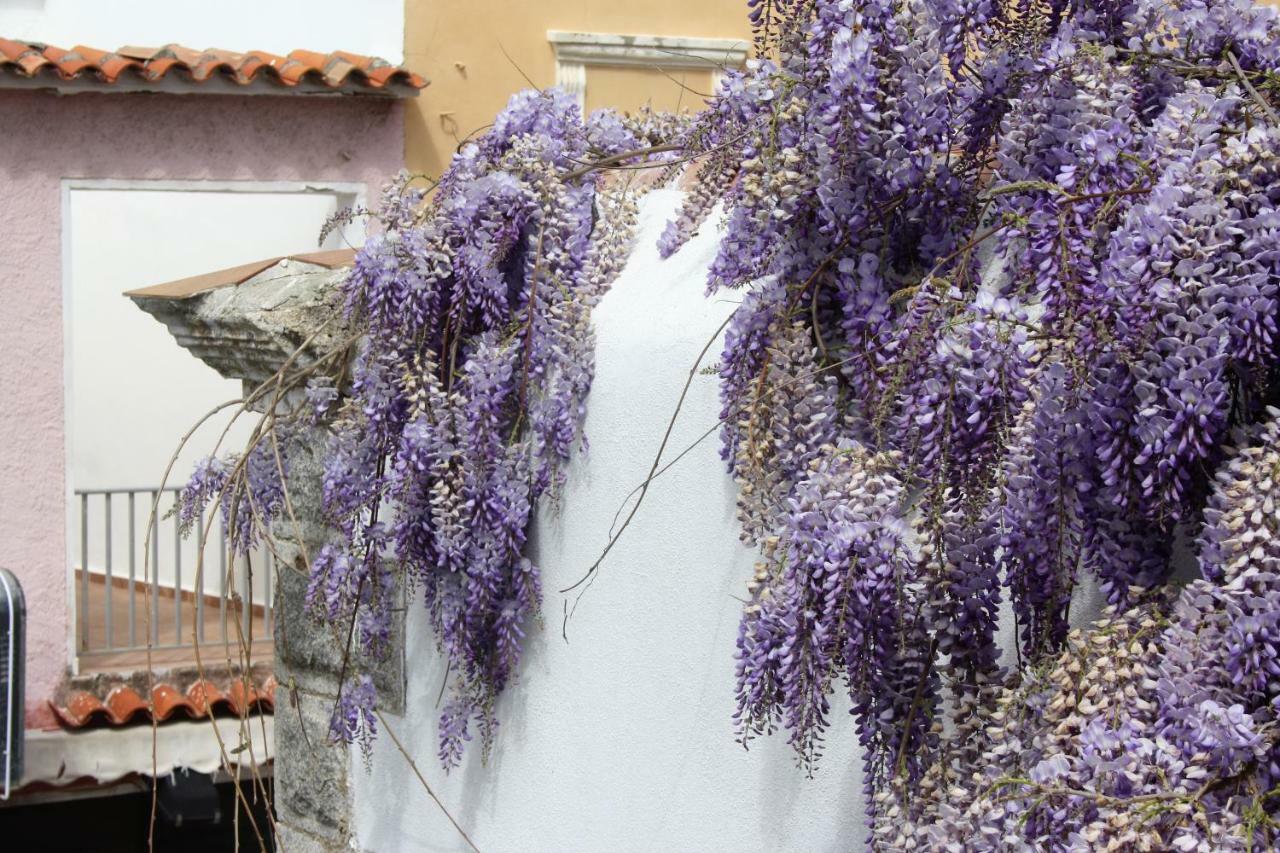 Casa Gandamar B&B Santa Teresa Gallura Exteriör bild
