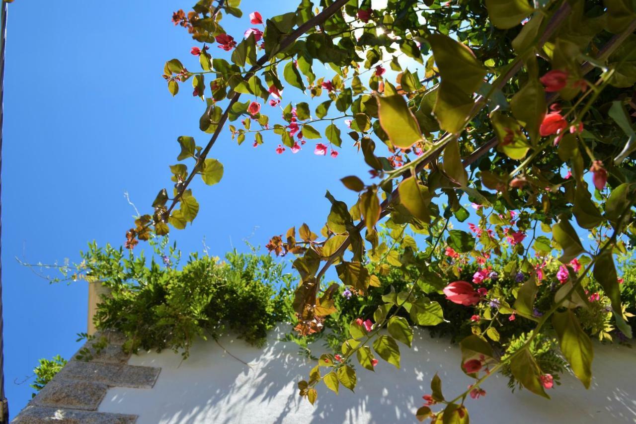 Casa Gandamar B&B Santa Teresa Gallura Exteriör bild