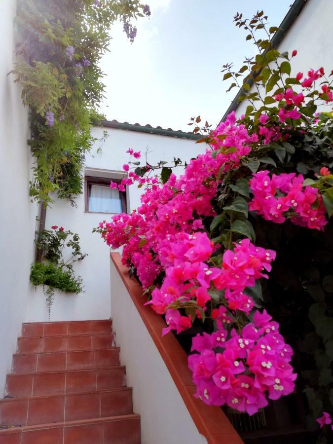 Casa Gandamar B&B Santa Teresa Gallura Exteriör bild